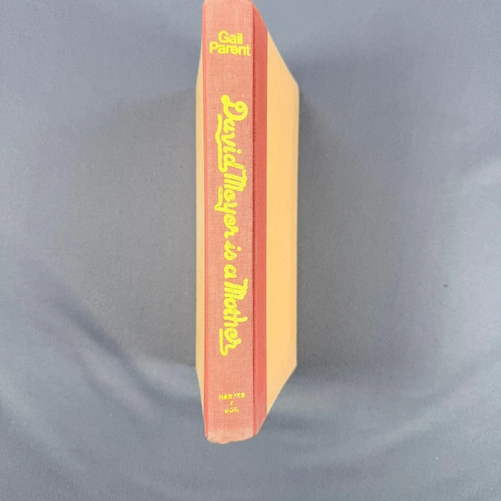 Gail Parent David Meyer is a Mother Hardcover 1976 First Edition Fiction Novel